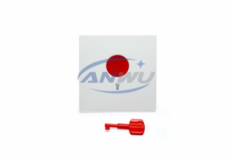 Emergency panic button with key reset for fog security system